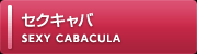 セクキャバ